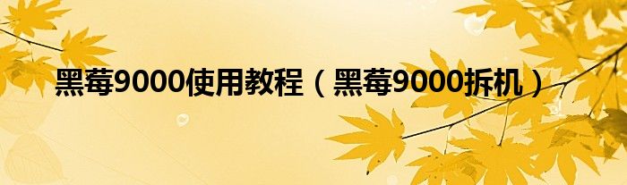 黑莓9000使用教程（黑莓9000拆机）