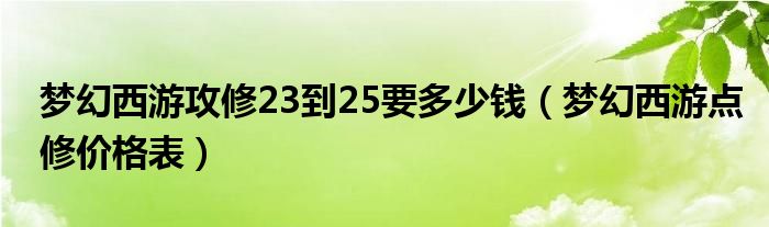 梦幻西游攻修23到25要多少钱（梦幻西游点修价格表）