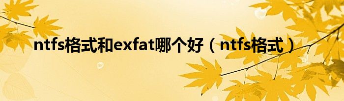 ntfs格式和exfat哪个好（ntfs格式）