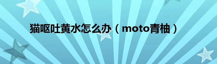 猫呕吐黄水怎么办（moto青柚）