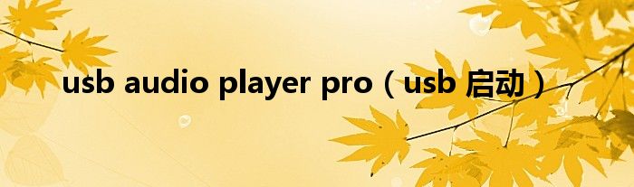 usb audio player pro（usb 启动）