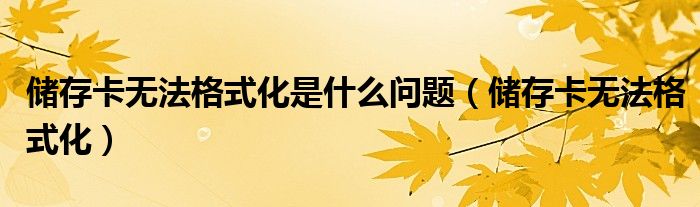 储存卡无法格式化是什么问题（储存卡无法格式化）