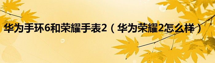 华为手环6和荣耀手表2（华为荣耀2怎么样）