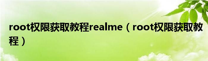 root权限获取教程realme（root权限获取教程）