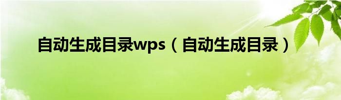 自动生成目录wps（自动生成目录）