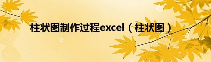 柱状图制作过程excel（柱状图）