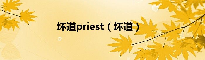 坏道priest（坏道）