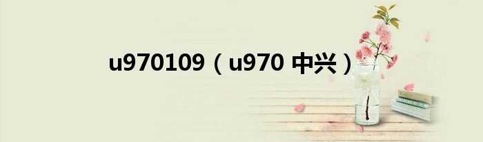 u970109（u970 中兴）