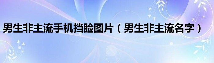 男生非主流手机挡脸图片（男生非主流名字）