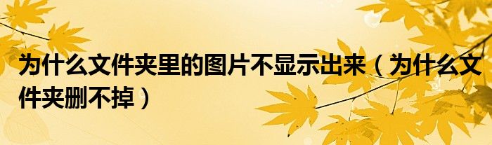 为什么文件夹里的图片不显示出来（为什么文件夹删不掉）