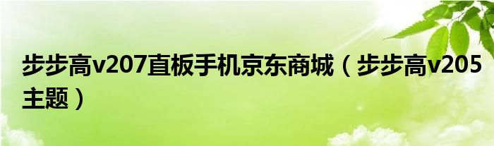 步步高v207直板手机京东商城（步步高v205主题）