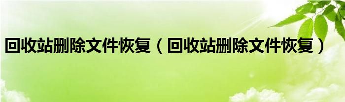 回收站删除文件恢复（回收站删除文件恢复）