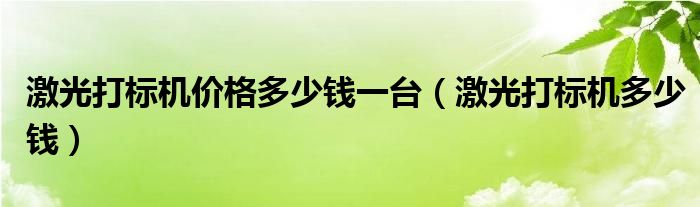 激光打标机价格多少钱一台（激光打标机多少钱）