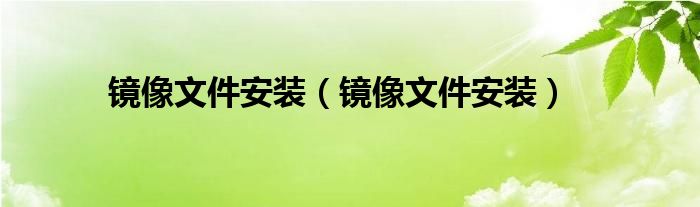 镜像文件安装（镜像文件安装）