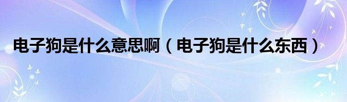 电子狗是什么意思啊（电子狗是什么东西）