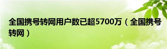 全国携号转网用户数已超5700万（全国携号转网）