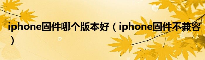 iphone固件哪个版本好（iphone固件不兼容）