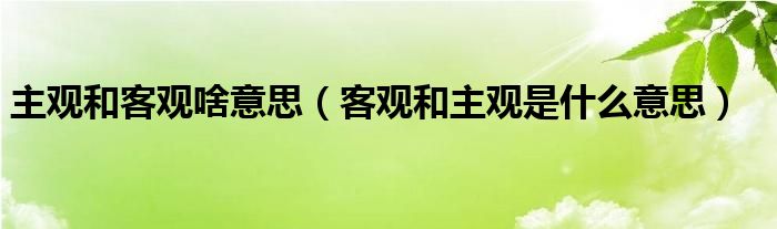 主觀和客觀啥意思(客觀和主觀是什麼意思)-第1張圖片-索考網