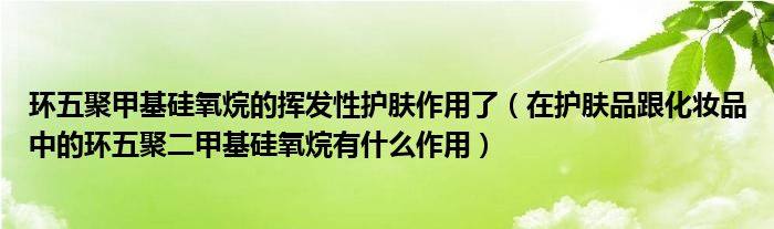 環五聚甲基硅氧烷的揮發性護膚作用了(在護膚品跟化妝品中的環五聚二