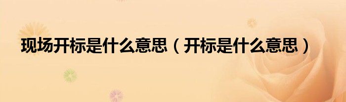 开标前一晚，投标人都在想什么？(开标前一晚,投标人都在想什么问题)-第1张图片-鲸幼网