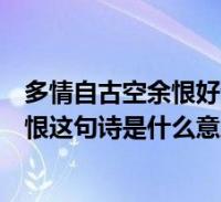 空餘恨好夢由來最易醒是什麼意思(多情自古空餘恨這句詩是什麼意思)