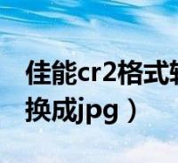 图片jpg什么意思 _jpg什么意思-第1张图片-潮百科