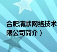 合肥清默网络技术有限公司简介图片(合肥清默网络技术有限公司简介)