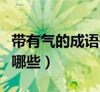 帶有氣的成語有哪些成語(帶有氣字的成語有哪些)2023-12-19綜合百科