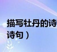 閱讀全文大家好,樂天來為大家解答以下的問題,甲亢懷孕吃丙硫氧嘧啶片