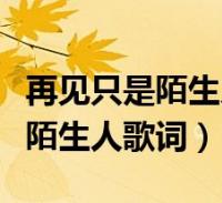 再見只是陌生人歌詞表達什麼意思(再見只是陌生人歌詞)2023-12-30綜合