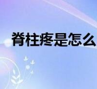 脊柱疼是怎麼回事兒,脊柱疼痛怎麼回事很多人還不知道,現在讓我們一