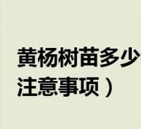 閱讀全文大家好,樂樂來為大家解答以下的問題,香辣青蝦怎麼做好吃