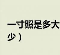 一寸照是多大比例(一寸照的比例是多少比多少)