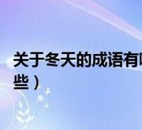 關於冬天的成語有哪些 四字成語大全(關於冬天的成語有哪些)