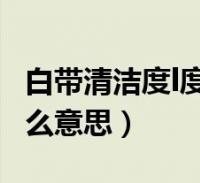 白帶清潔度l度是什麼意思(白帶清潔度2度什麼意思)