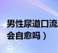 男性尿道口流膿內褲上黃黃的(男性尿道感染會自愈嗎)