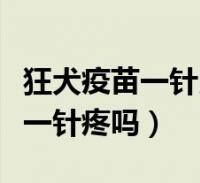 狂犬疫苗一針比一針反應大(狂犬疫苗一針比一針疼嗎)