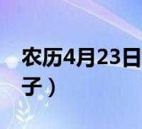 農曆4月23日是什麼日子(4月23日是什麼日子)