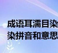 成語耳濡目染拼音和意思是什麼(成語耳濡目染拼音和意思)