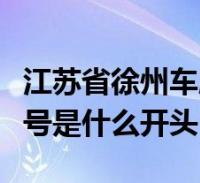 江蘇省徐州車牌號是哪個字母開頭(徐州車牌號是什麼開頭)