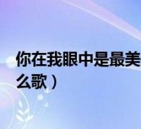 你在我眼中是最美是哪首歌的歌詞(你在我眼中是最美是什麼歌)