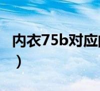 內衣75b對應的是什麼碼(內衣75b是30幾碼)