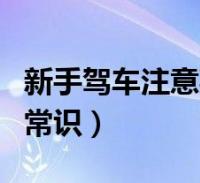 新手駕車注意事項和技巧(新手駕車要注意的常識)