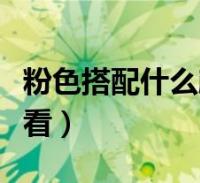 粉色搭配什麼顏色好看效果圖(粉色配什麼好看)2024-02-24精選知識大家