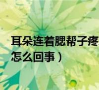 耳朵根下面连着腮帮疼图片